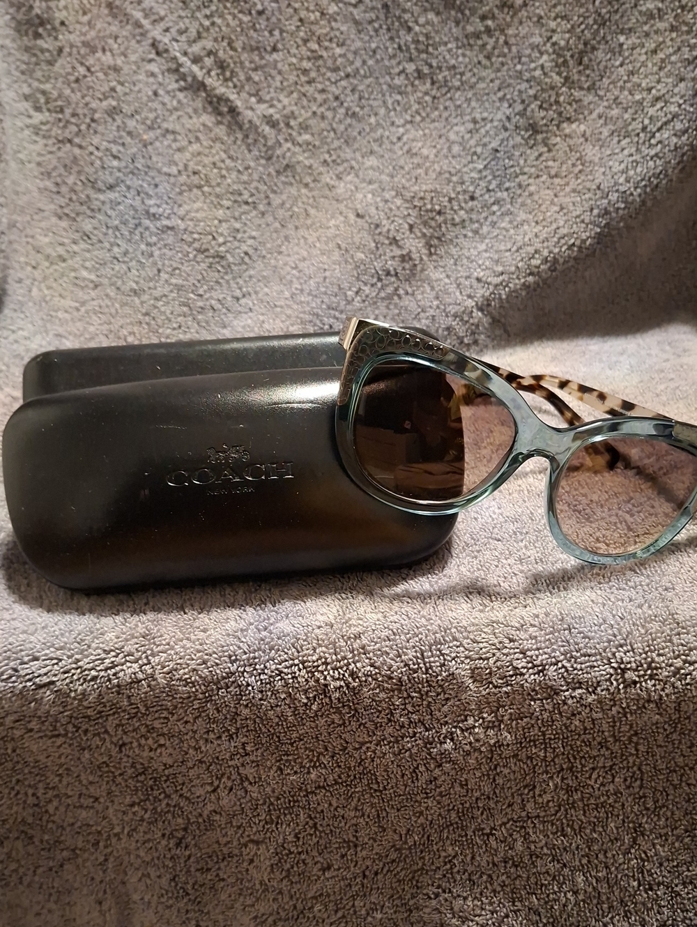 Coach Women's Aqua and Tortoise Cat-Eye Sunglasses